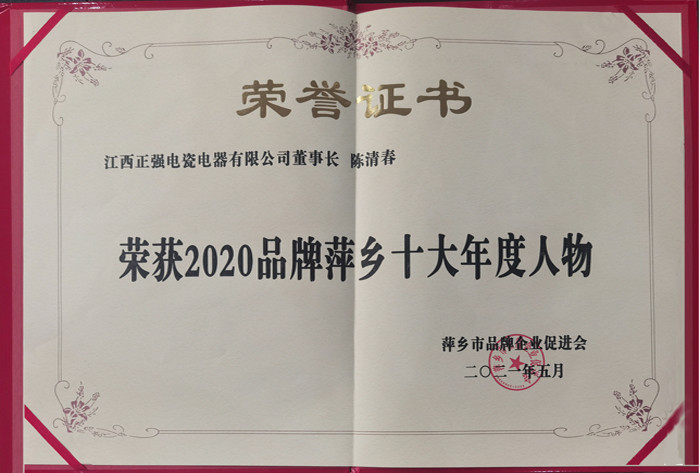 2020品牌萍乡十大年度人物